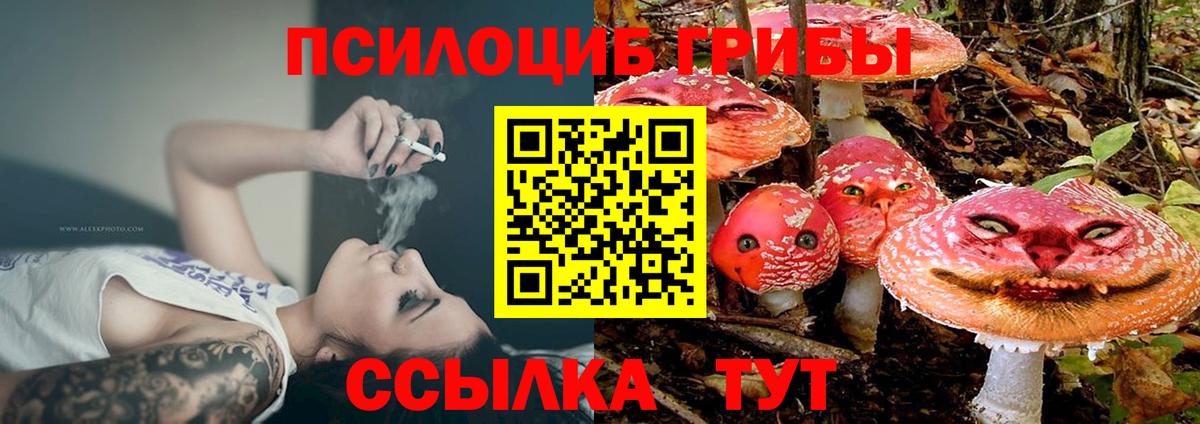 Псилоцибиновые грибы мухоморы Азов